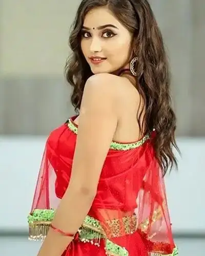 Call Girls Service Shujalpur